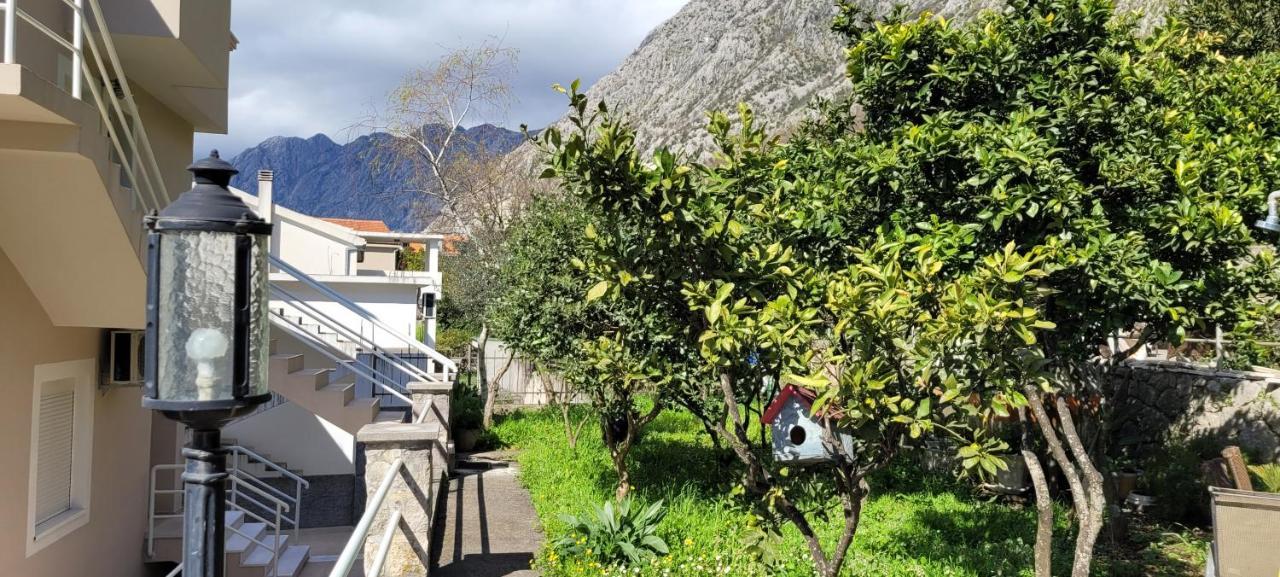 Majka Apartments Kotor Exteriör bild